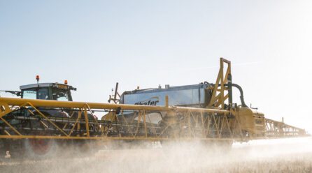 Top Concerns About Glyphosate Include Birth Defects and Cancer
