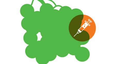 Regulation of Genetically Engineered Foods