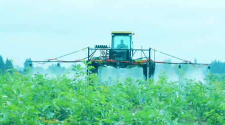 Massive Rise in Use of Glyphosate-based Herbicides