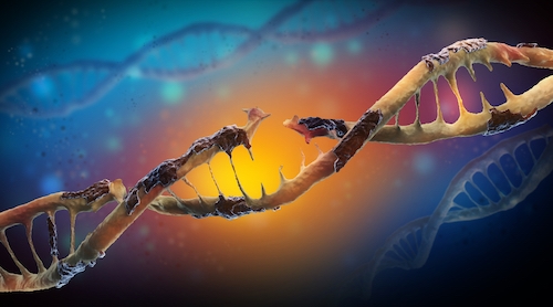 Why did the US EPA and IARC reach opposite conclusions on glyphosate’s genotoxicity?