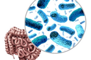 Glyphosate and Roundup Disrupt the Gut Microbiome by Inhibiting the Shikimate Pathway